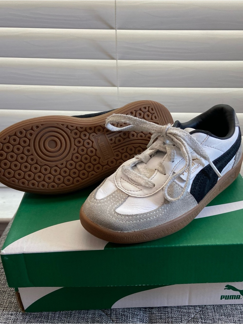 Puma Palermos